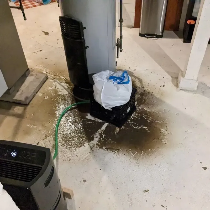 Sewage Backup Cleanup Service in Templeton, MA